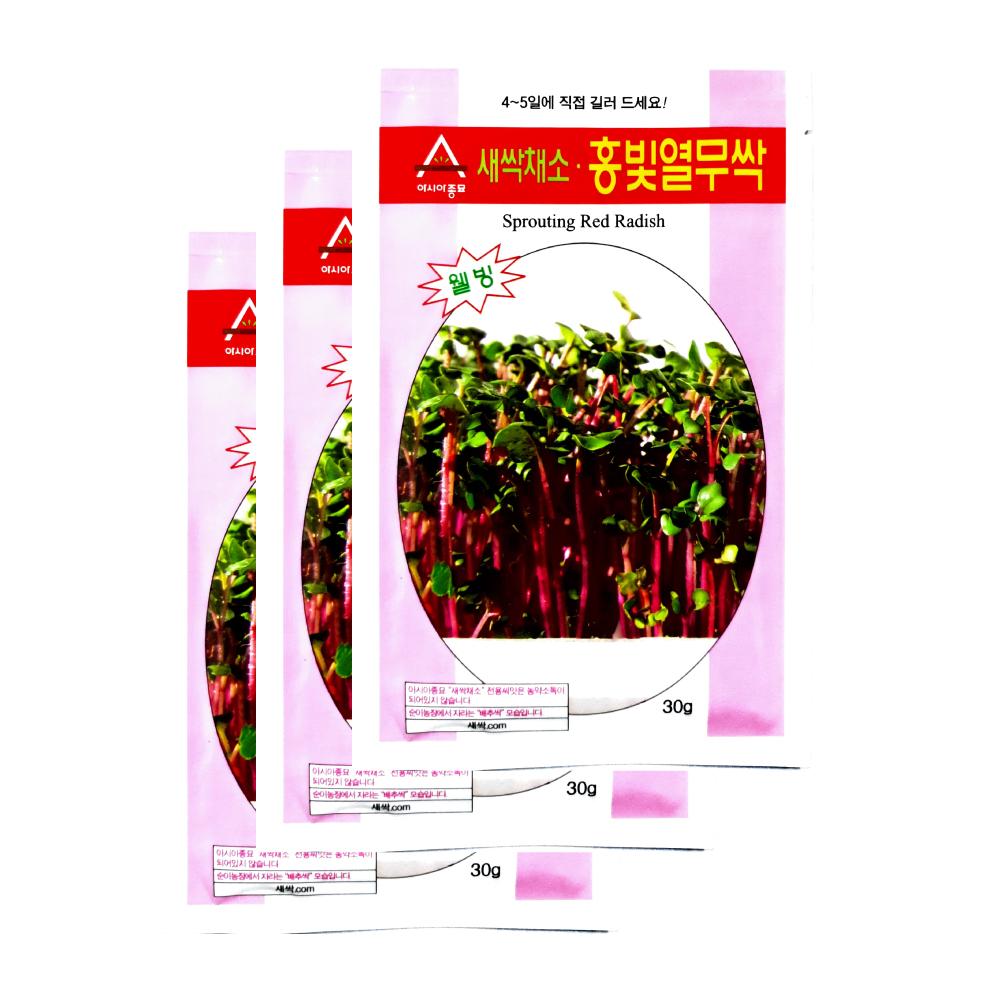 아시아종묘 채소씨앗종자 - 새싹씨앗 홍빛열무싹(30gx3)