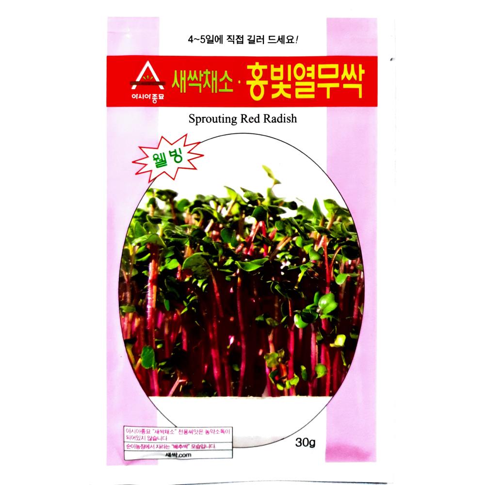 아시아종묘/새싹씨앗종자 홍빛열무싹(1kg)