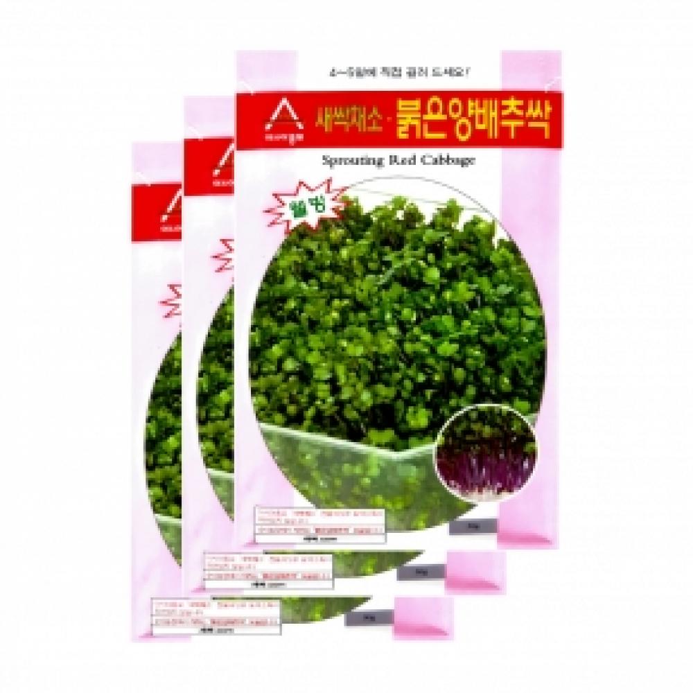 아시아종묘 채소씨앗종자 - 새싹씨앗 적양배추싹(30gx3) 새싹채소