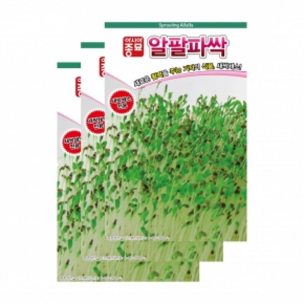 아시아종묘 채소씨앗종자 - 새싹씨앗 알팔파싹(30gx3)