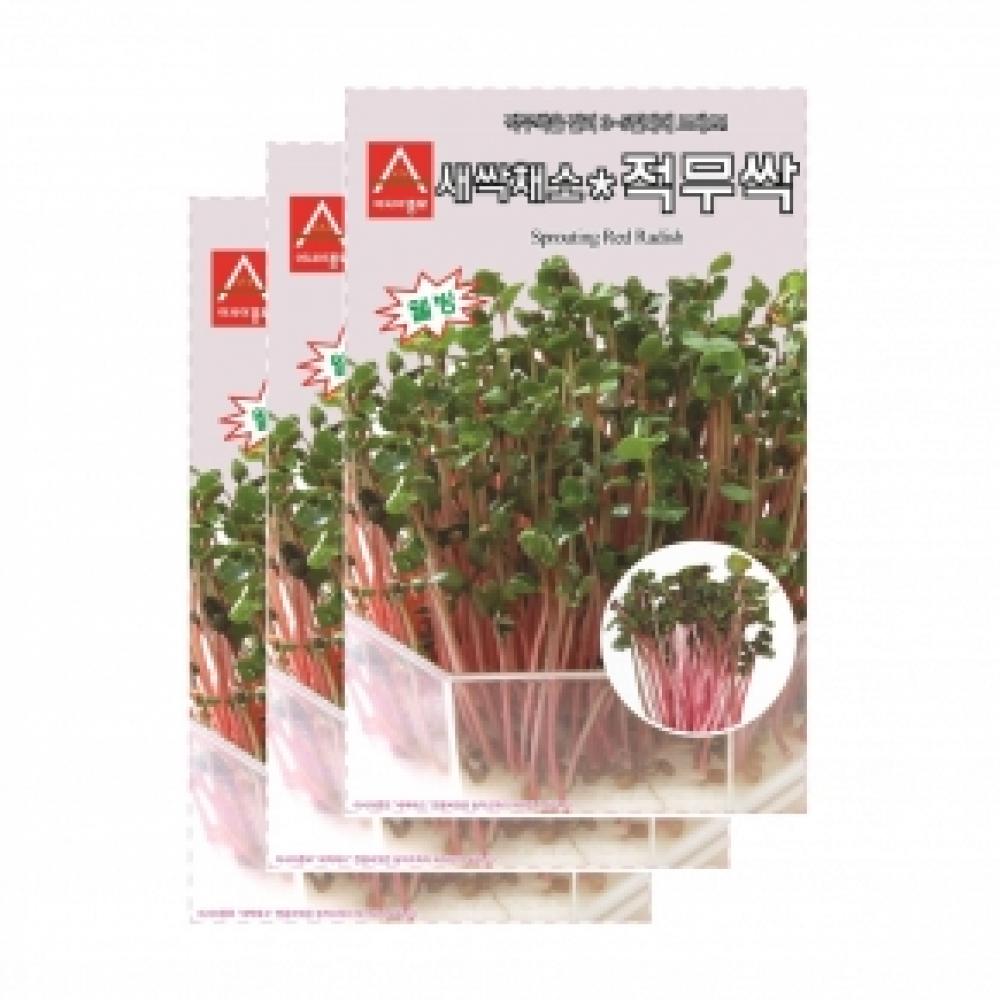 아시아종묘 채소씨앗종자 - 새싹씨앗 적무순이(30gx3)