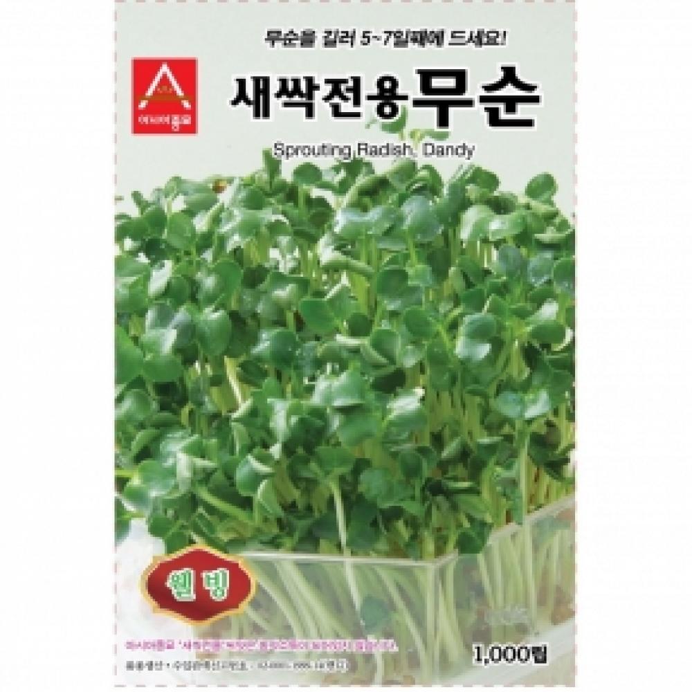 (아시아종묘/새싹씨앗종자) 무순이(1kg)