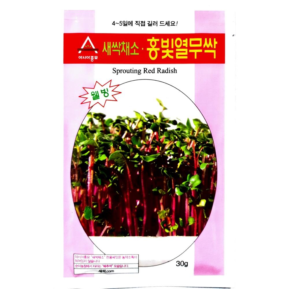 아시아종묘/새싹씨앗종자 홍빛열무싹(30g)