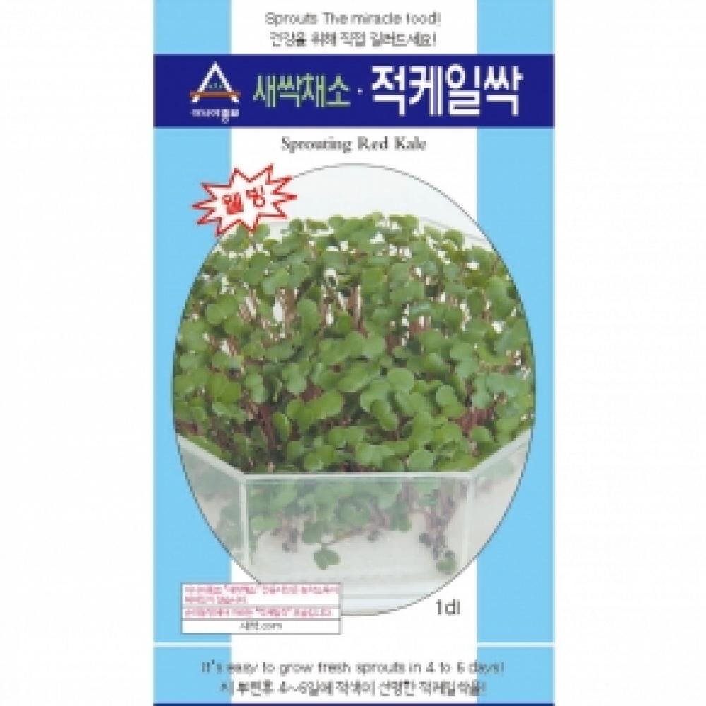 아시아종묘/새싹씨앗종자 적케일싹(30g)