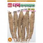아시아종묘/채소씨앗종자 - 더덕·양유(3gx3)