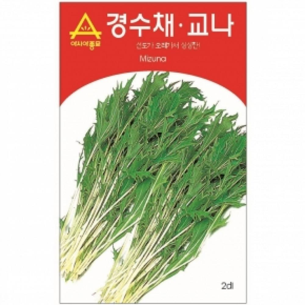 (아시아종묘/어린잎채소씨앗종자) 경수채.교나(2000립)