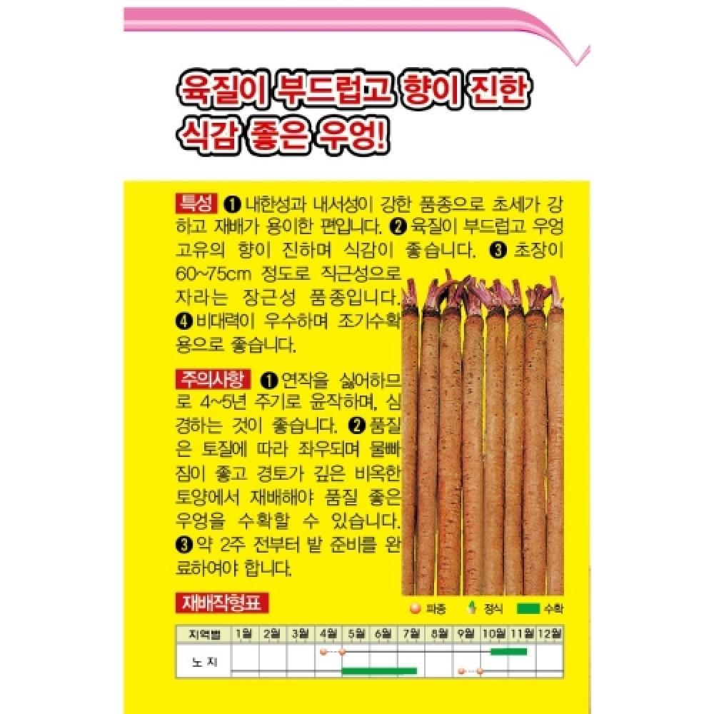 우엉씨앗종자 유천이상-뿌리우엉(500g)