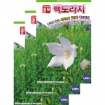 아시아종묘 채소씨앗종자 - 뿌리채소씨앗 백도라지(1000립x3)