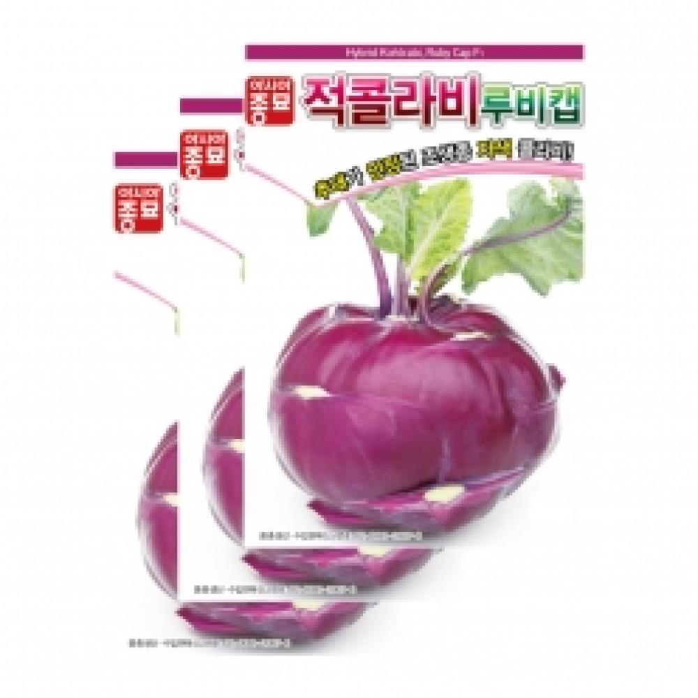 아시아종묘 채소씨앗종자 - 적콜라비 씨앗 루비캡(100립x3) 전문농가용
