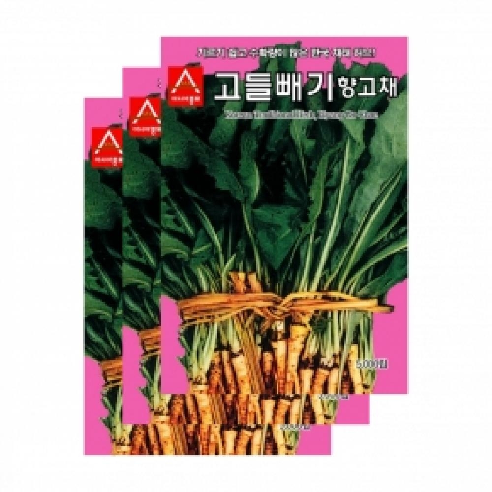 아시아종묘 채소씨앗종자 - 고들빼기(5000립x3)