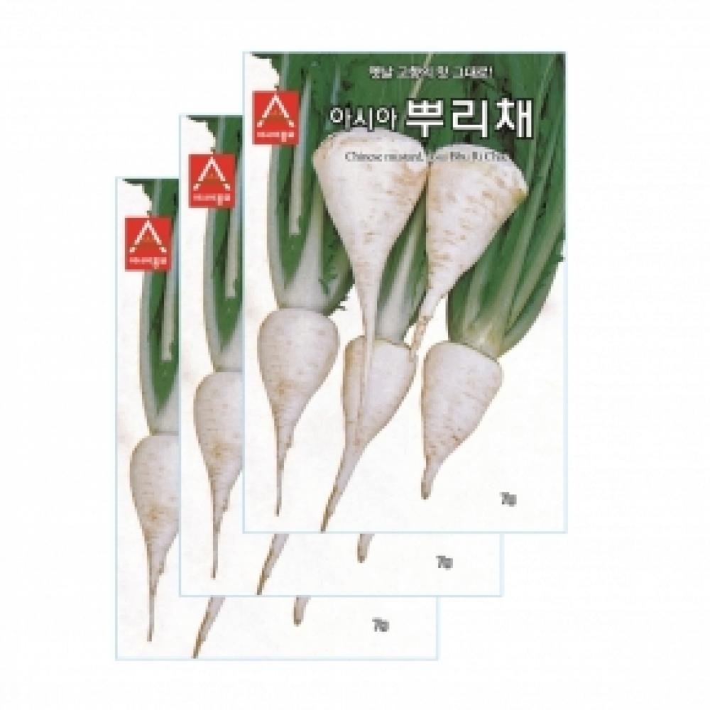 아시아종묘 채소씨앗종자 - 민속채소씨앗 아시아뿌리채(7gx3)