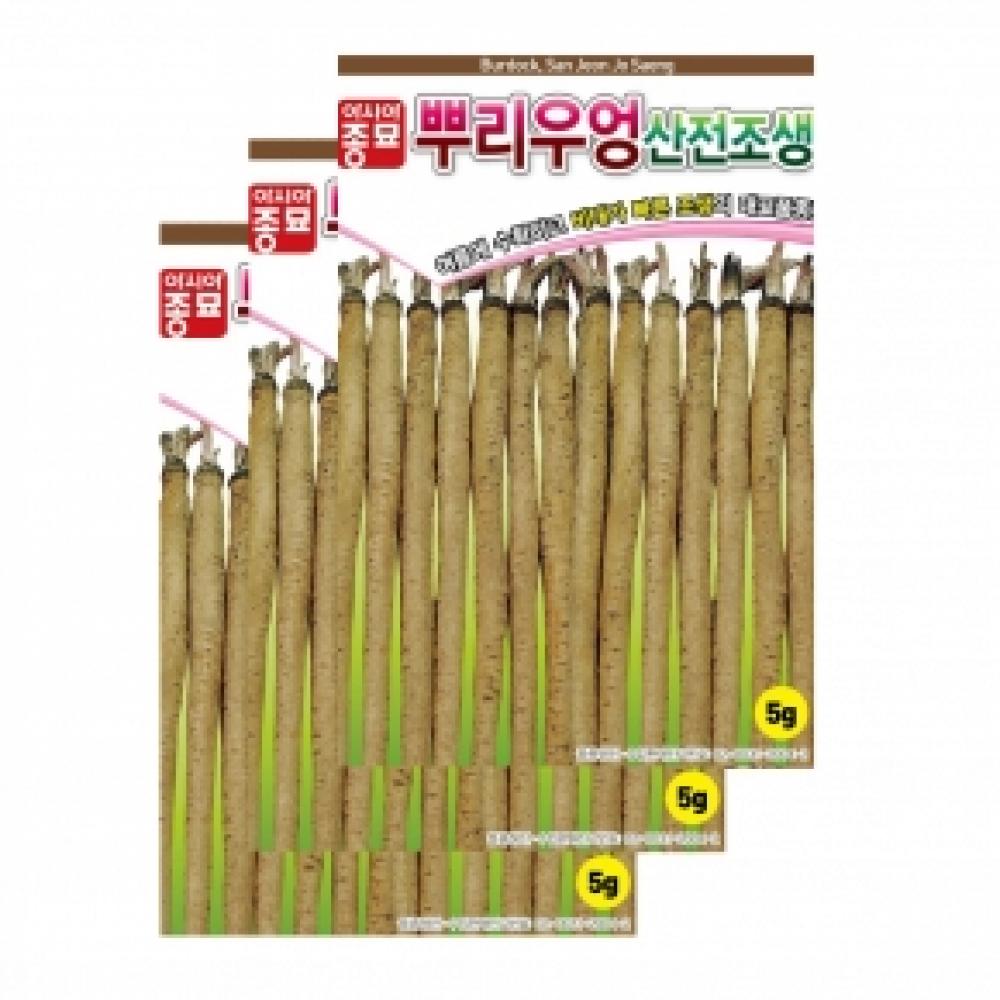 아시아종묘 채소씨앗종자 - 우엉씨앗 산전조생 뿌리우엉(5gx3)