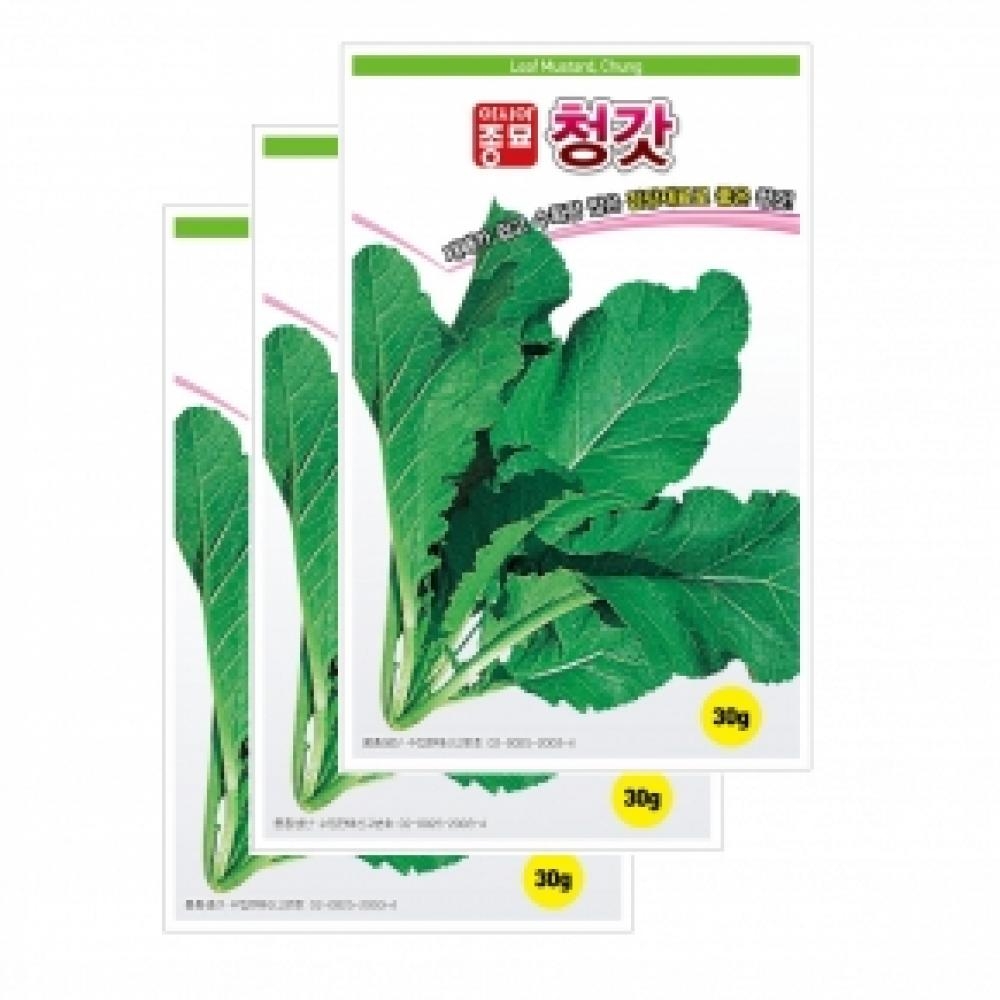 아시아종묘 채소씨앗종자 - 갓씨앗 청갓(30gx3)