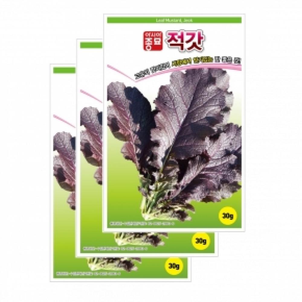 아시아종묘 채소씨앗종자 - 갓씨앗 적갓(30gx3)
