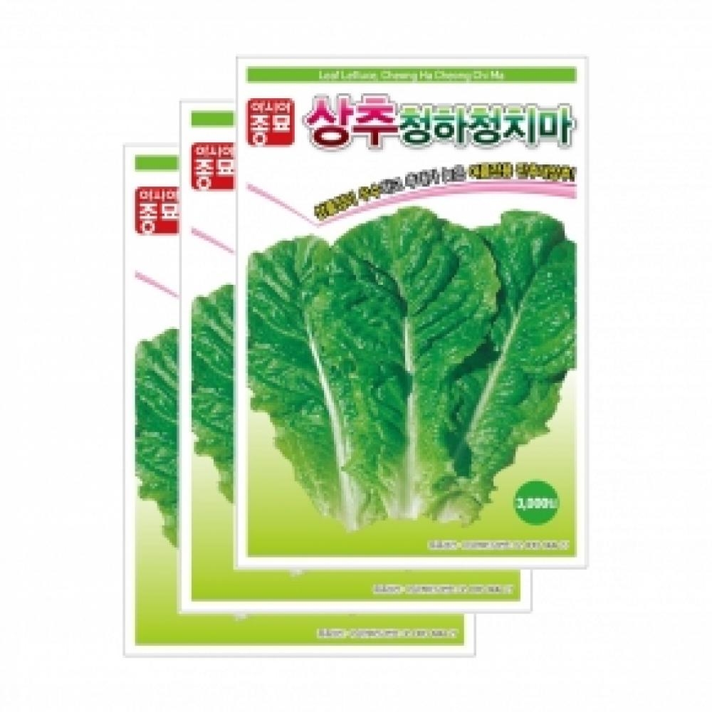 채소씨앗종자 - 상추씨앗 청하청치마(3,000립x3)