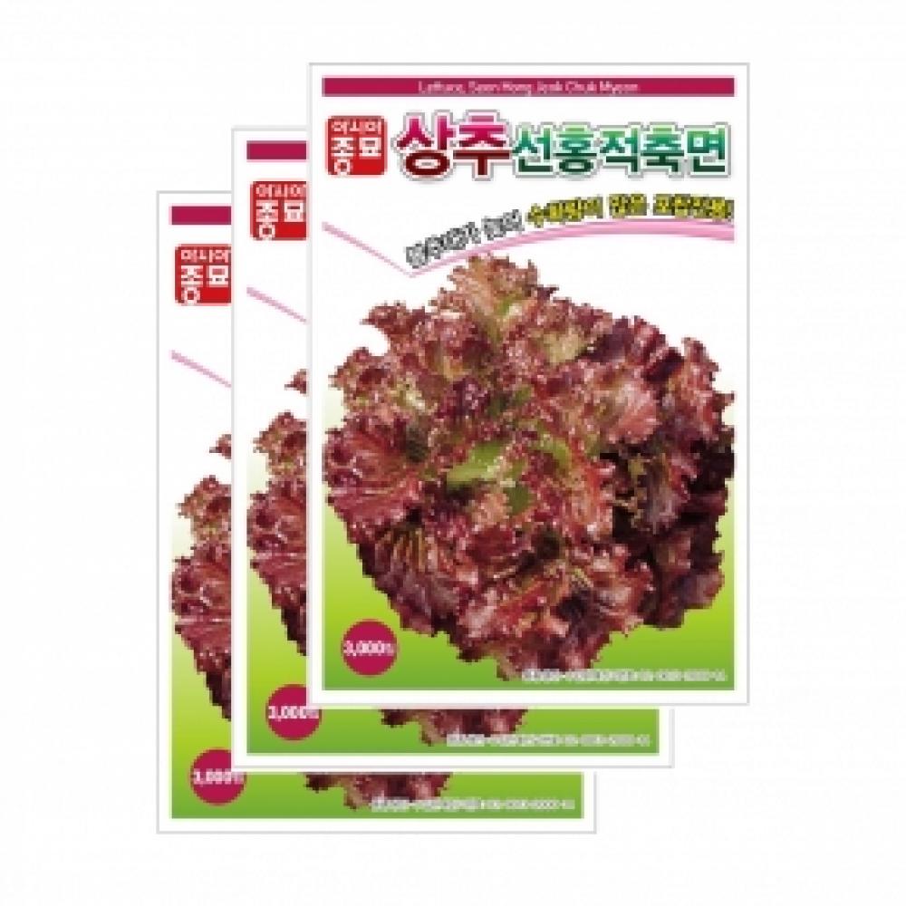 채소씨앗종자 - 적상추씨앗 선홍적축면(3000립x3)