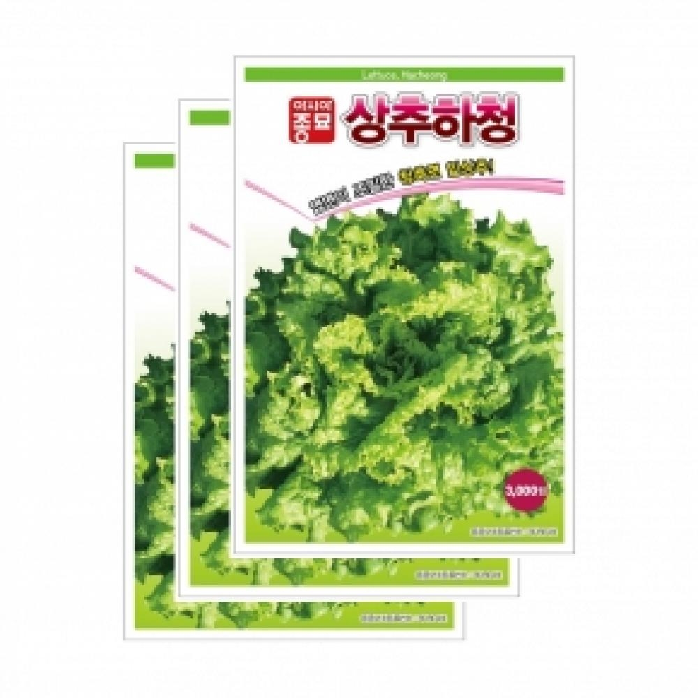 채소씨앗종자 - 상추씨앗 청축면 상추하청(3000립x3)