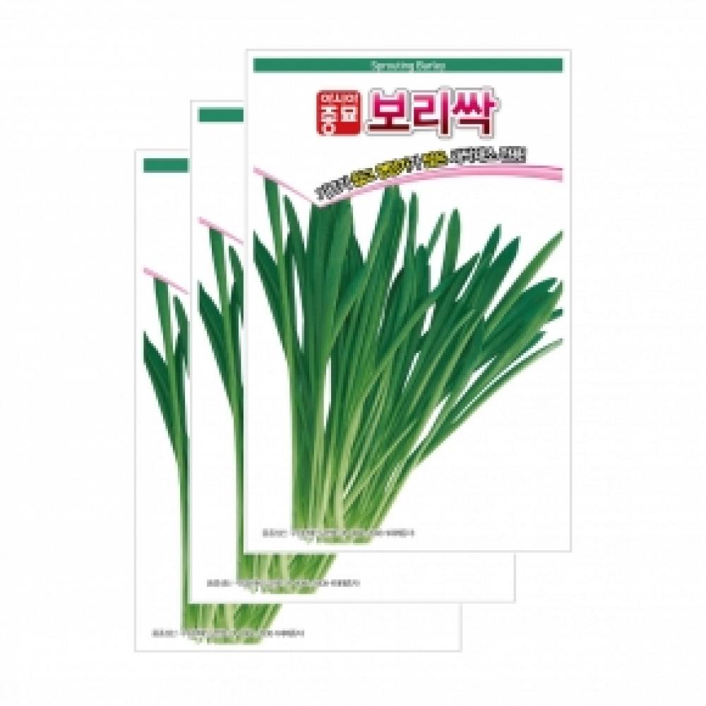 아시아종묘 채소씨앗종자-새싹씨앗 보리새싹(30gx3)