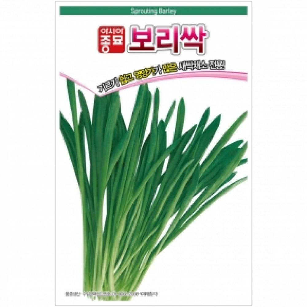 새싹채소-새싹씨앗종자 보리새싹(1kg)