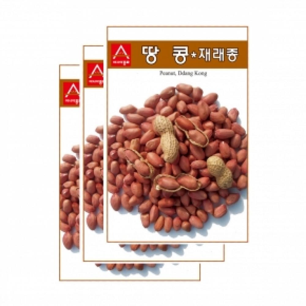 채소씨앗종자 - 땅콩,재래종땅콩(30gx3)