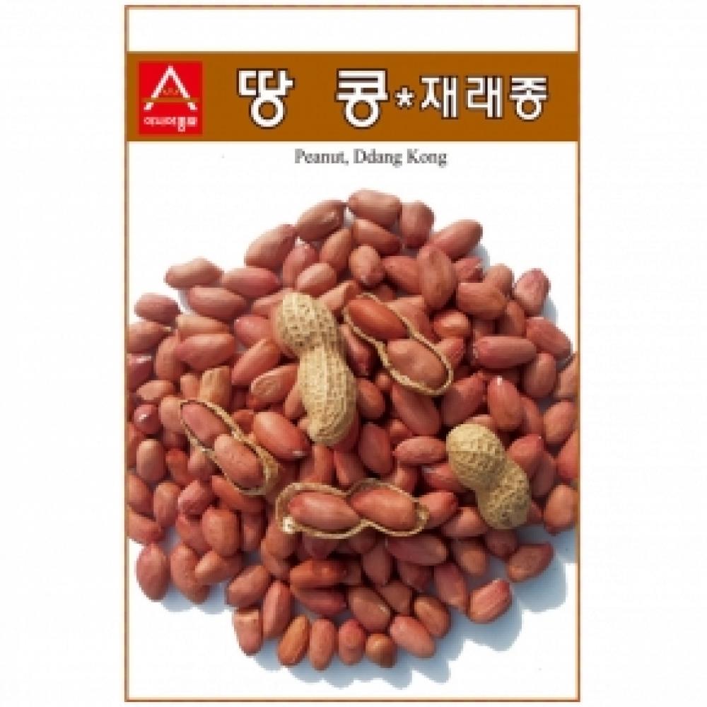 (아시아종묘/콩씨앗종자) 땅콩,재래종땅콩(30g)