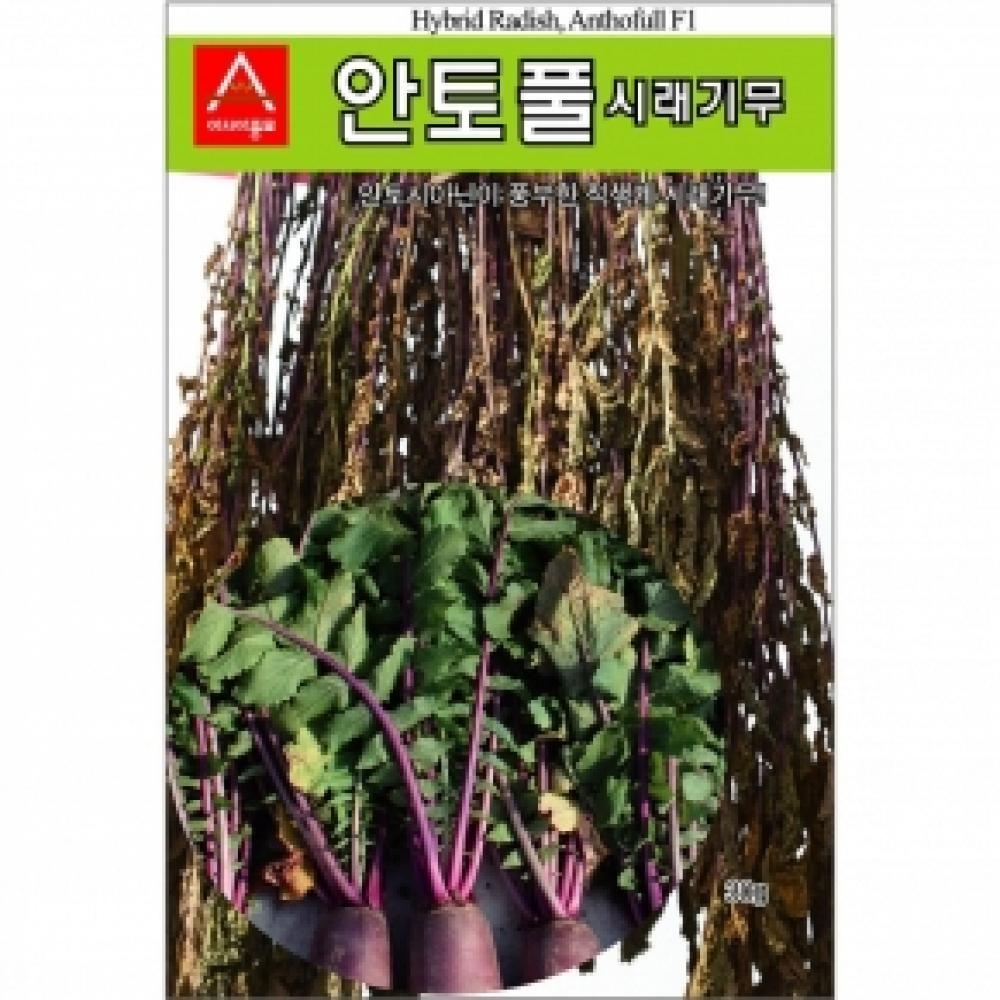 (아시아종묘/무씨앗종자) 안토풀 시래기무(1000립)