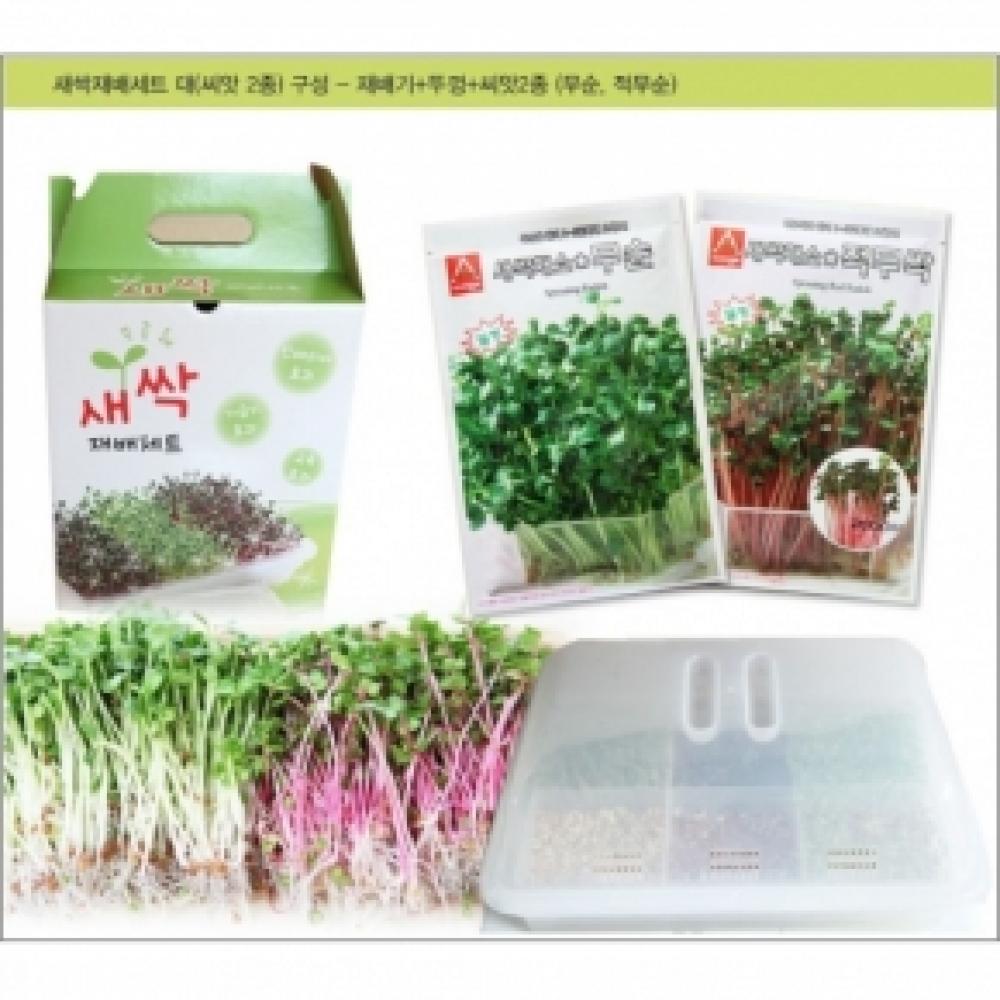 (아시아종묘/새싹재배용기) 다용도재배용기 + 씨앗2종(각 30g)