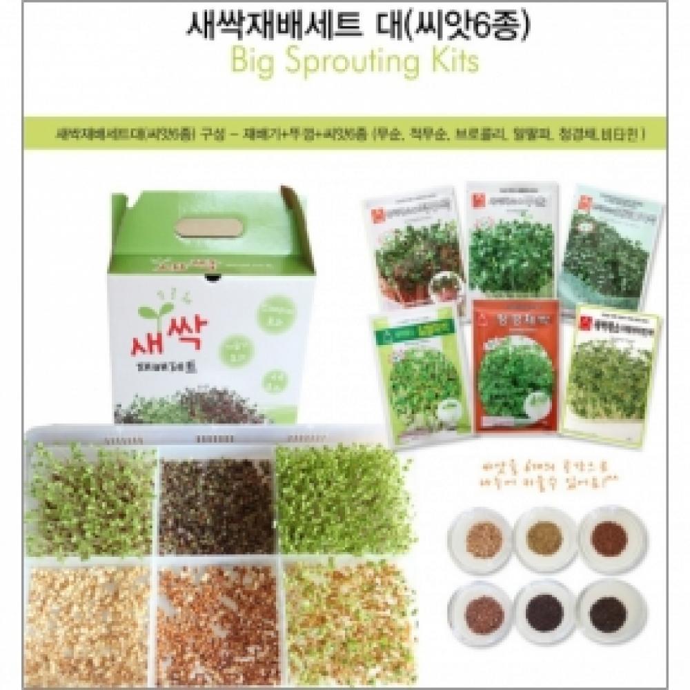 (아시아종묘/새싹재배용기) 다용도재배용기 + 씨앗6종
