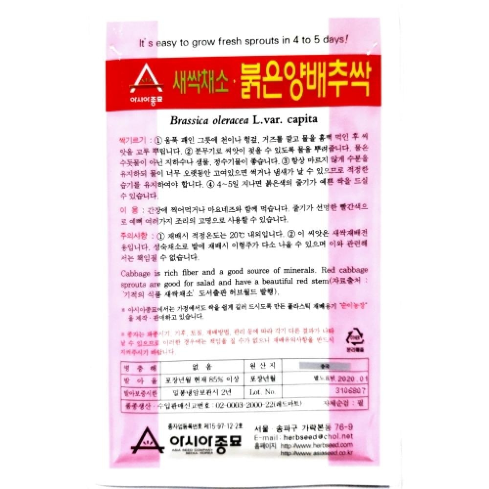 아시아종묘/새싹씨앗 적양배추싹(1kg) 새싹채소