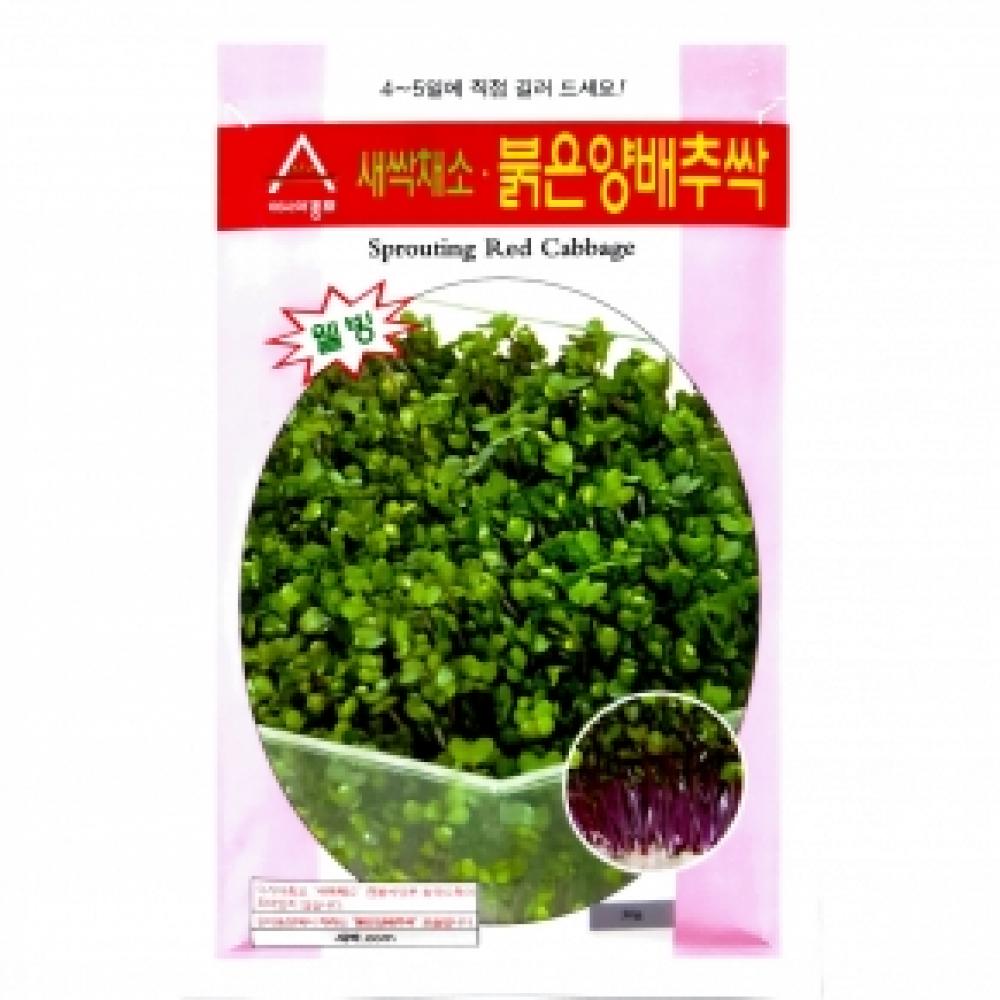 아시아종묘/새싹씨앗 적양배추싹(30g,30gx3,1kg) 새싹채소