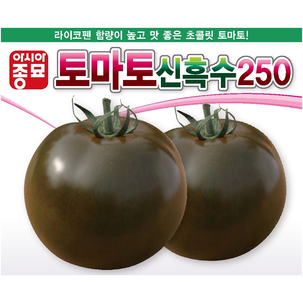 아시아종묘/토마토씨앗종자 토마토신흑수250(100립)