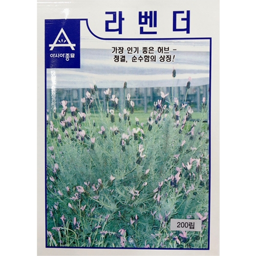 아시아종묘/허브씨앗종자 라벤더(200립)