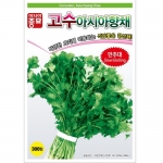 아시아종묘 채소씨앗종자 - 고수 아시아향채(500g)