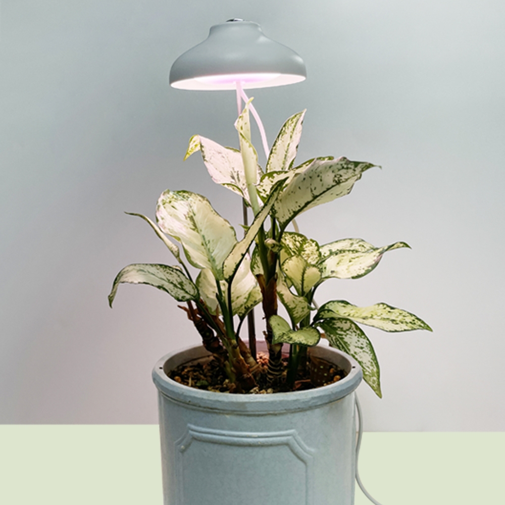 우산형 식물등 LED 조명 다육이 제라늄 난 성장등 생장등