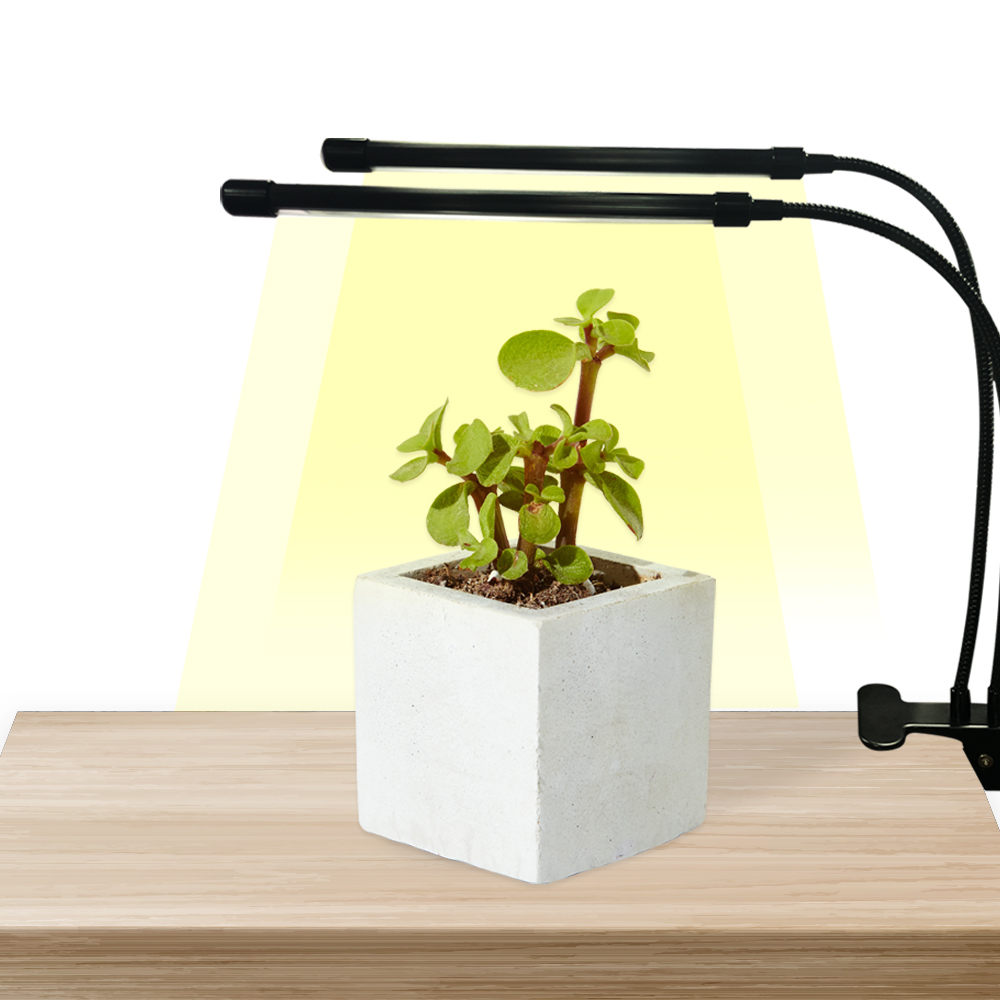 2헤드 집게형 식물등 LED 조명 다육이 제라늄 난 성장등 생장등